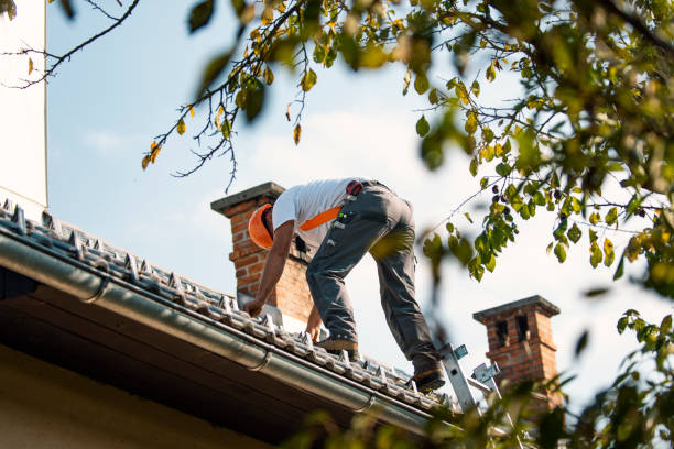 Best Local Roofing Companies  in Aquia Harbour, VA